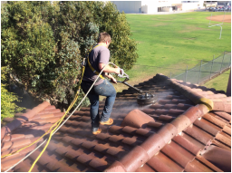 roof cleaning 